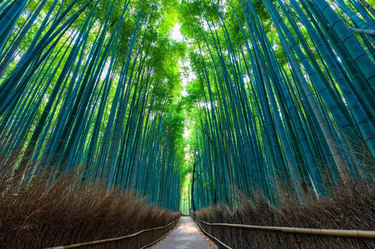 Arashiyama