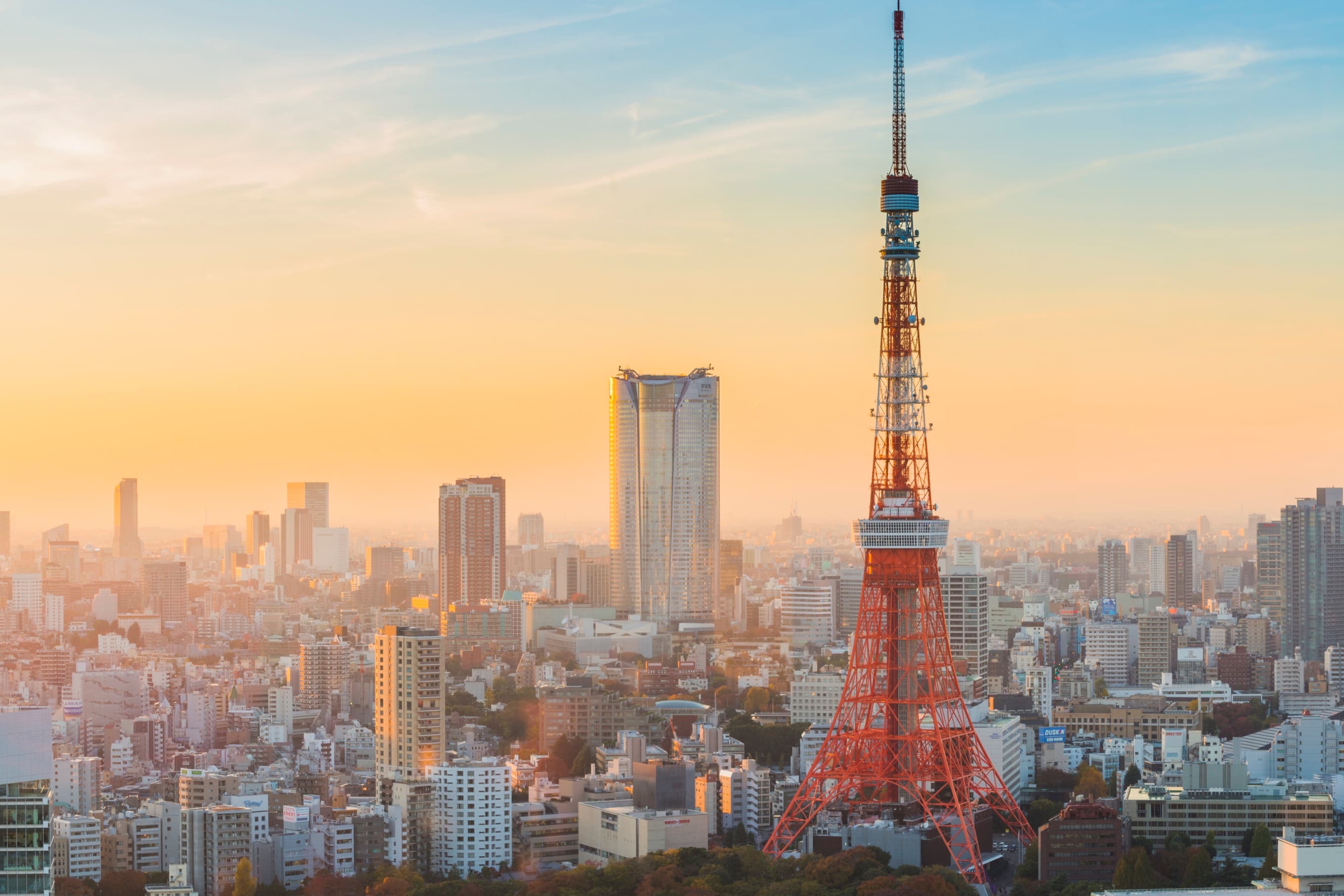 Tokyo to Tokyo